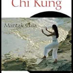 خرید و دانلود نسخه کامل کتاب زبان اصلی Tan Tien Chi Kung: Foundational Exercises for Empty Force and Perineum Power | دانلود کتاب خارجی