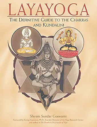 خرید و دانلود نسخه کامل کتاب زبان اصلی Layayoga: The Definitive Guide to the Chakras and Kundalini | دانلود کتاب خارجی_6ac143239db3f.webp خرید و دانلود نسخه کامل کتاب زبان اصلی Layayoga: The Definitive Guide to the Chakras and Kundalini | دانلود کتاب خارجی